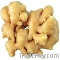 Fresh Ginger