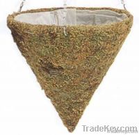 Moss Hanging Basket