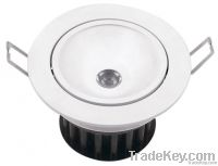 ceiling light