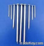 common wire nails