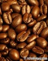  export green coffee beans,green coffee bean importer,green coffee beans buyer,buy green coffee beans,green ,green coffee bean manufacturer,best green coffee bean exporter,low price green coffee beans,best quality green coffee bean,green coffee bean suppl