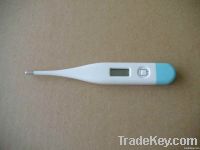 Digital Thermometer