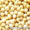 Soy Bean Extract