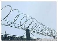 Concertina Wire