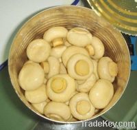 Canned mushroom whole