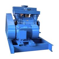 2BE1 303 Water Ring Vacuum Pump