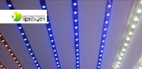 Strip light