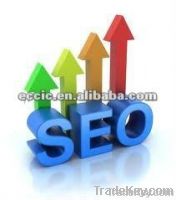 professional SEO service