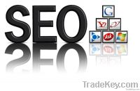 Best Service For Seo Service