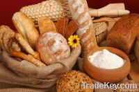 Baking Food Raw Materials