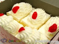 Whipped Cream Powder
