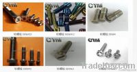 Titanium fastener