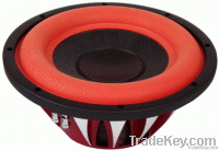 12'' Subwoofer CL-AT123