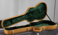 Colorful Electric Guitar Case, LP Guitar
