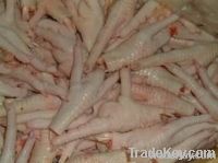  Export Chicken Paw | Chicken Feet Suppliers | Poultry Feet Exporters | Chicken Feets Traders | Processed Chicken Paw Buyers | Frozen Poultry Paw Wholesalers | Low Price Freeze Chicken Paw | Best Buy Chicken Paw | Buy Chicken Paw | Import Chicken Paw | Ch