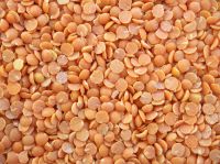 Lentils, Red Lentils, Pink Lentils All Colours, quality whole and split 100% Quality