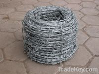 Galvanized barbed wire