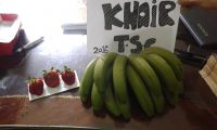 Fresh Fruits