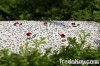 Crystal Inlay
