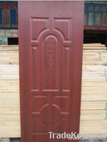 Door Skin
