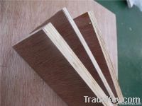 commercial plywood