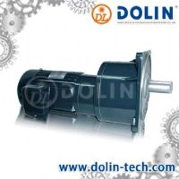 Reducer Motor