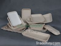 Disposable Bagasse Supermarket Tray