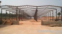 Steel Structure Building (Multi Span)
