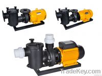 Swimming Pool & SPA Pumps