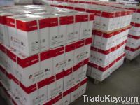 High quality A4 copy paper