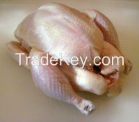Frozen whole Halal Griller, Chicken Suppliers, Breast, Fillet, Leg, paw, Drumstick , Wings, Eggs, Fertile, Hatching egg