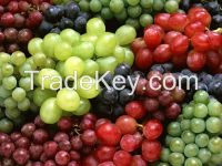 Table Grapes, Crimson Thompson Seedless Green