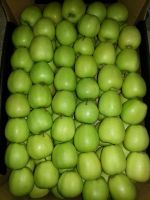 Fresh Red/Green Apples, Royal Gala
