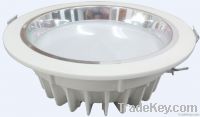 LED Down Light