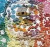 Ceramic Enamel Beads