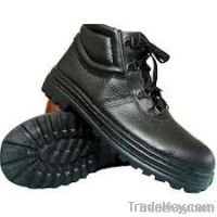 Safety Shoe