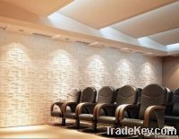 wall coverings of new material