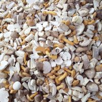 Iqf Frozen Mixed Mushrooms Cocktail
