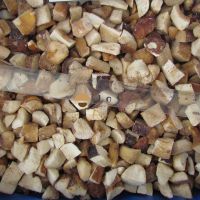 Iqf Frozen Boletus Edulis Porcini Mushroom