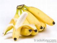 Banano Org&Atilde;�&Acirc;&iexcl;nico