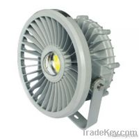 LED Floodlight