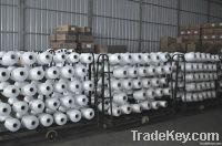 NYLON 6 HOY
