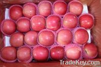 Chinese Fuji Apple, Red Apple, Fresh