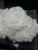 HCS Hollow Conjugated Silicon Polyester Fibre