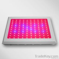 300W LED Grow Light 