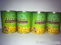 Canned Sweet Corn/Canned Food/Canned