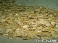 Acacia woodchip for paper pulp