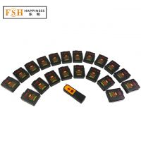 Hot Sale+1 Digital Remote With