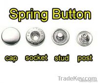spring snap button