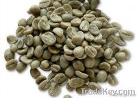  Export Coffee Beans | Coffee Bean Importer | Coffee Beans Buyer | Buy Coffee Beans | Coffee Bean Wholesaler | Coffee Bean Manufacturer | Best Coffee Bean Exporter | Low Price Coffee Beans | Best Quality Coffee Bean | Coffee Bean Supplier | Sell Coffee Be